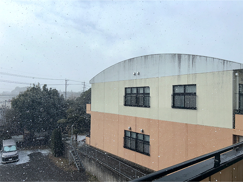 野方も雪降ってます