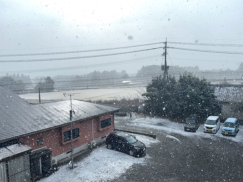 野方も雪降ってます