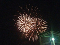 野方ふれあいふるさと祭り